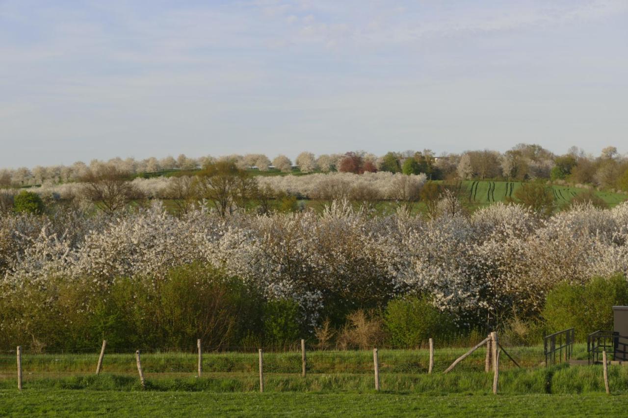 Meschermolen 2 Eijsden Exteriér fotografie