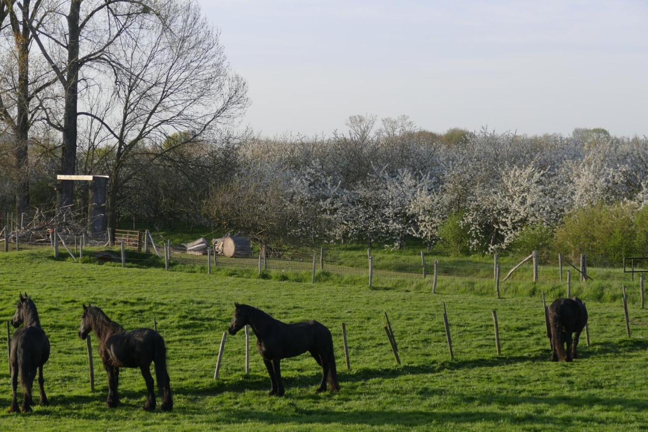 Meschermolen 2 Eijsden Exteriér fotografie